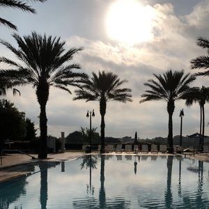 Meet your Posher, Delaney